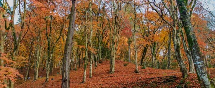 11月の登山におすすめの北陸・甲信の山