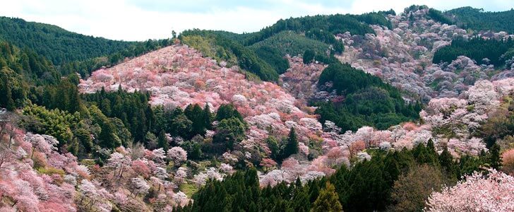 4月の登山におすすめの山