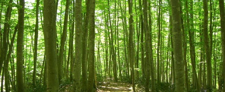 5月の登山におすすめの北海道の山