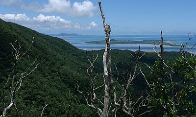 古見岳の外観