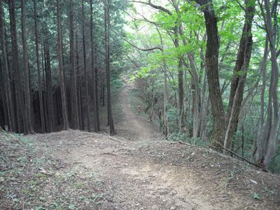 蕨山の外観