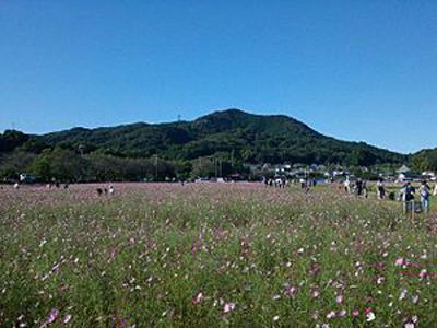 日和田山の外観