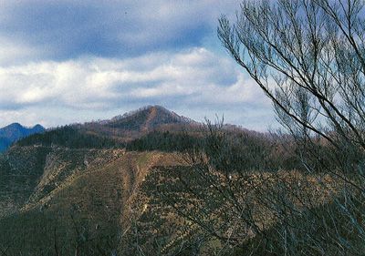 蕎麦粒山の外観