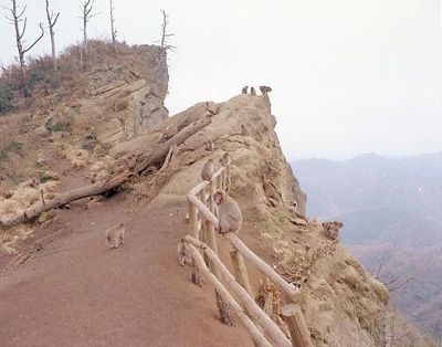 高宕山の外観