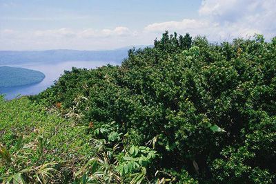 十和田山の外観