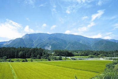 藤原岳の外観