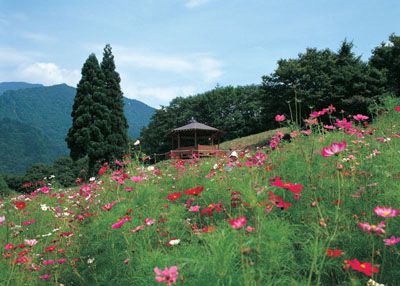 面白山の外観