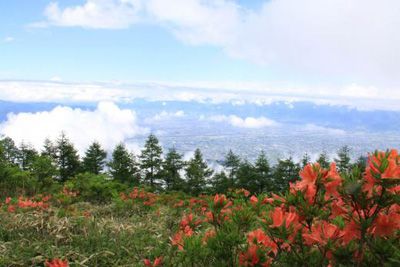 甘利山の外観