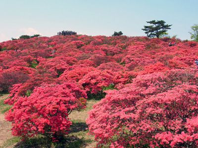 高柴山の外観