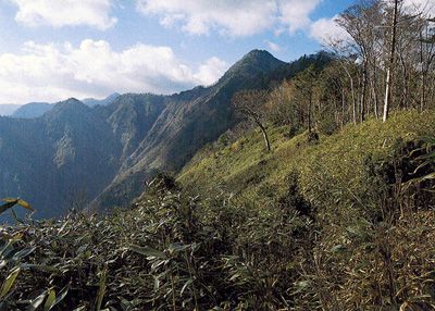 古ヶ丸山の外観