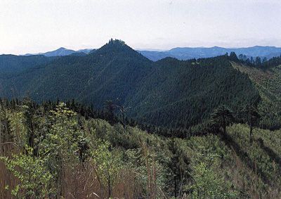 楊柳山の外観