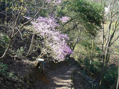 蛇谷ヶ峰の外観