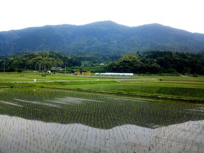 由良ヶ岳の外観