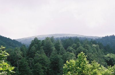 燧岳の外観