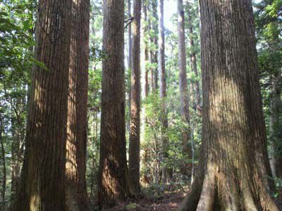 千本山の外観