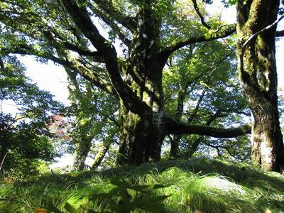 大座礼山の外観