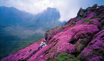 九重山の外観