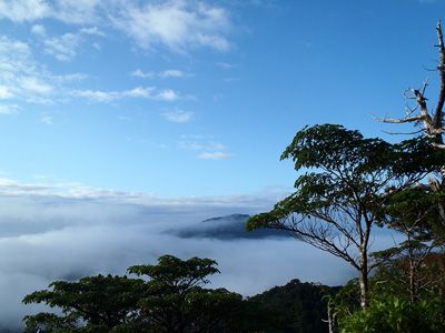 黒味岳の外観