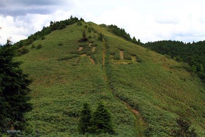 泉山の外観