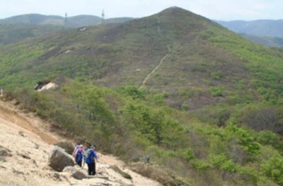 赤坂山の外観