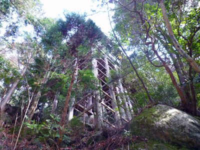 太神山の外観