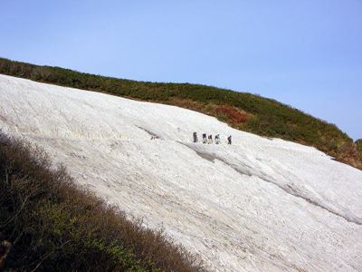 大白森の外観