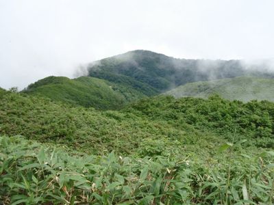 栂峰の外観