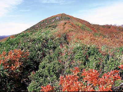 小岳の外観