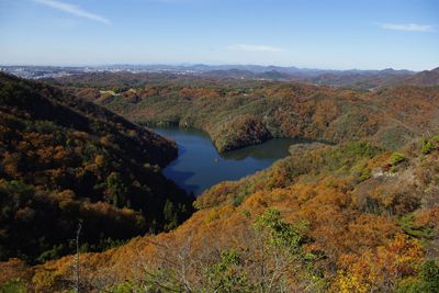 大岩ヶ岳の外観