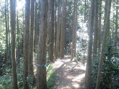 雷電山の外観