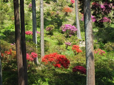 霞丘陵の外観