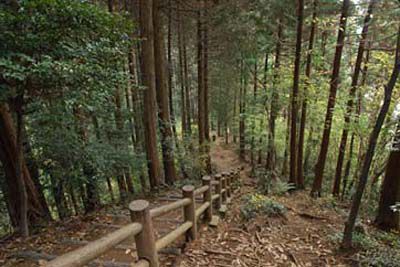 草戸山の外観