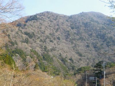 弥太郎山の外観