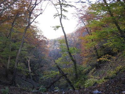 高田山の外観