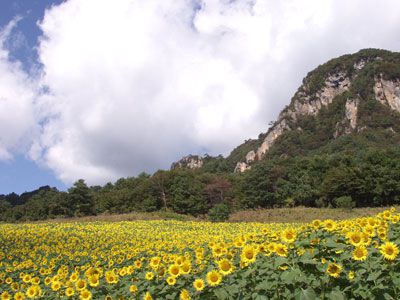 大岩の外観