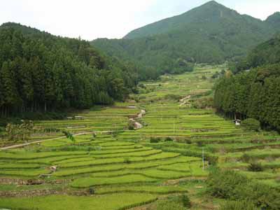 鞍掛山の外観