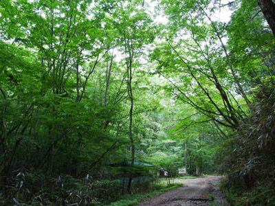 出来山の外観