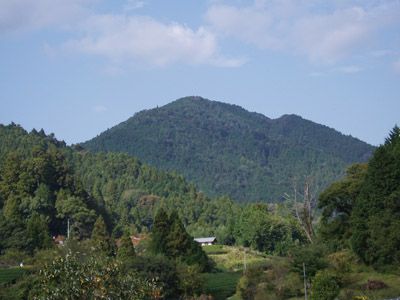 笹頭山の外観