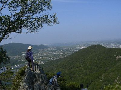 衣笠山の外観