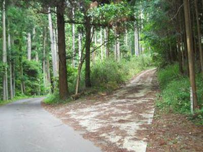 風頭山の外観