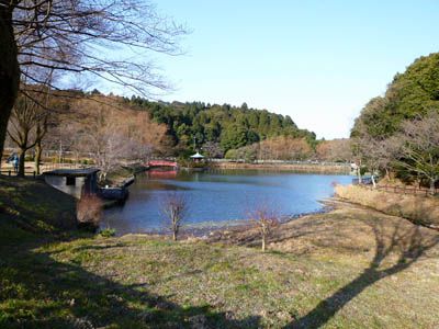 山星山の外観