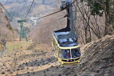 宝登山の外観