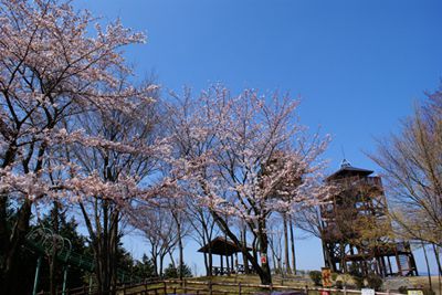 仙元山の外観