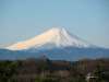 荒幡の富士の外観