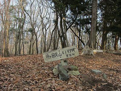 明ヶ田尾山の外観