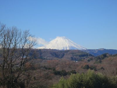 渋沢丘陵の外観