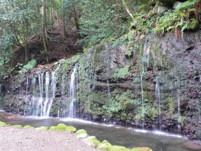 鷹ノ巣山の外観