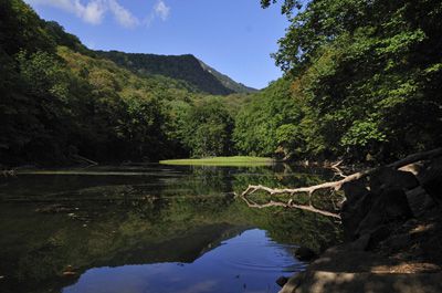 櫛ヶ峰の外観