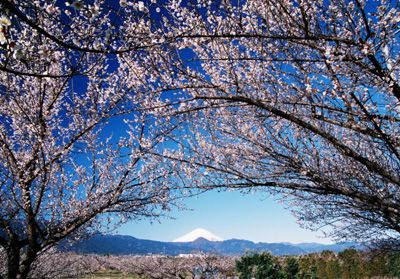 曽我山の外観