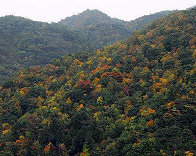 湯槽谷山の外観